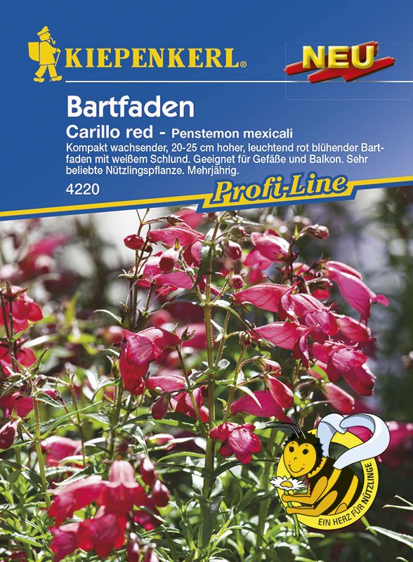 Kiepenkerl Bartfaden Carillo Red Pestemon mexicali, Inhalt: ca. 20 Pflanzen von Kiepenkerl