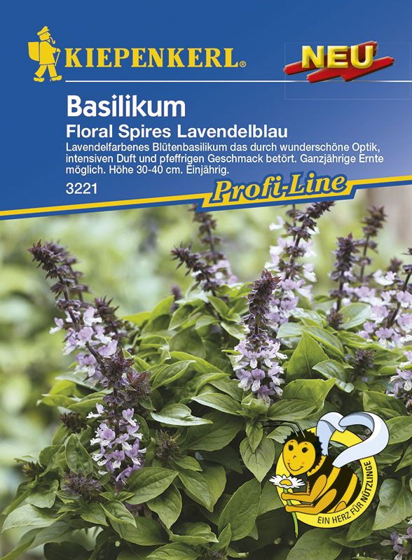 Kiepenkerl Basilikum Floral Spires Lavendelblau Ocimum basilicum, Inhalt: ca. 40 Pflanzen von Kiepenkerl