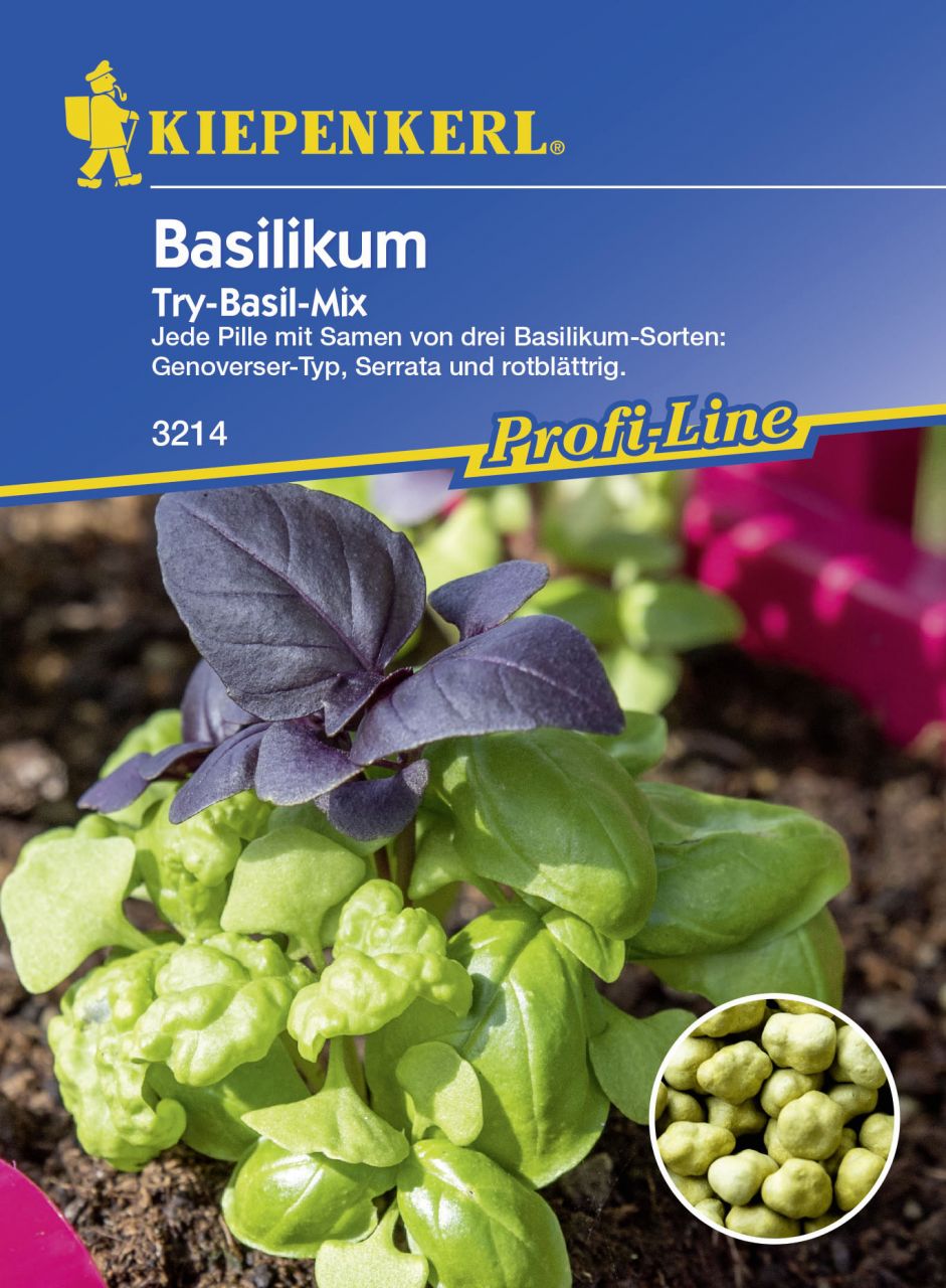 Kiepenkerl Basilikum Try-Basil-Mix Ocimum basilicum, Inhalt: ca. 20 Töpfe von Kiepenkerl