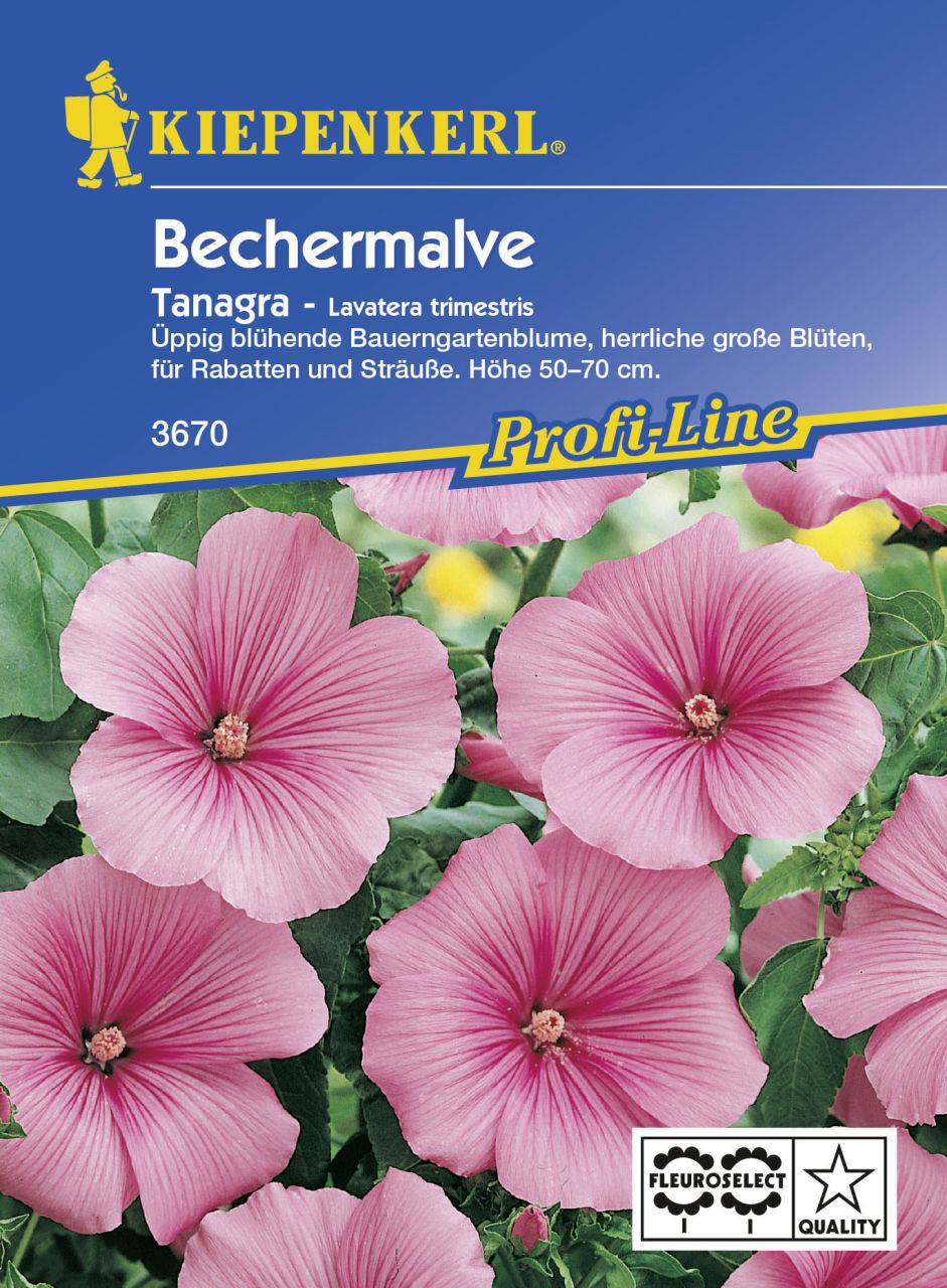 Kiepenkerl Bechermalve Tanagra Rosa Lavatera trimestris, Inhalt: ca. 40 Pflanzen von Kiepenkerl