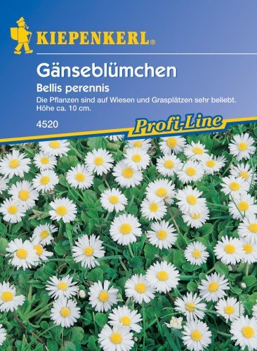 Sperli Blumensamen Wiesen-Gänseblümchen, grün Sperli Blumensamen Wiesen-Gänseblümchen, grün von Sperli