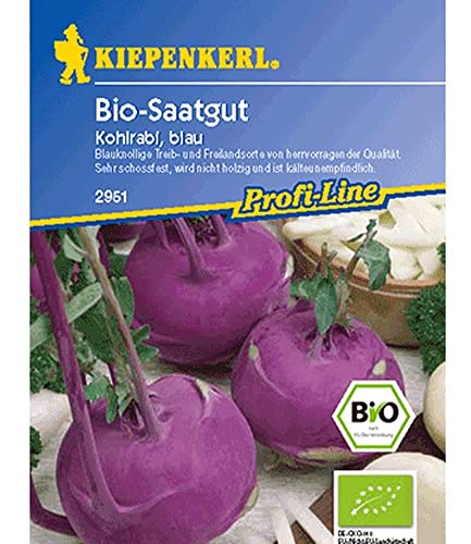 Kiepenkerl Bio-Kohlrabi, blau,1 Portion von Kiepenkerl