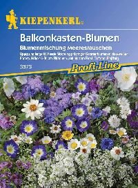 Kiepenkerl Blumen-Mix 'Meeresrauschen', 1 Tüte Samen für 4 Meter Balkonkasten von Kiepenkerl