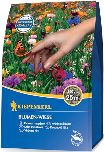 Kiepenkerl Blumen-Wiese 0,25 kg - Artenreiche Blumen-Wiesen Samen, Pflegeleichte Wildblumenwiese für Garten & Rasen, Profi-Line Rasensamen Kiepenkerl Blumen-Wiese 0,25 kg - Artenreiche Blumen-Wiesen Samen, Pflegeleichte Wildblumenwiese für Garten & Rasen, Profi-Line Rasensamen von Kiepenkerl