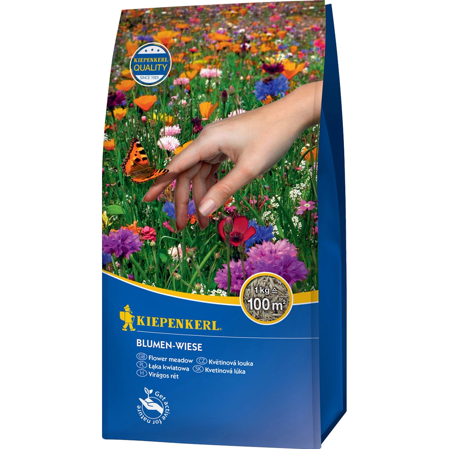 Kiepenkerl Blumen-Wiese 1 kg von Kiepenkerl