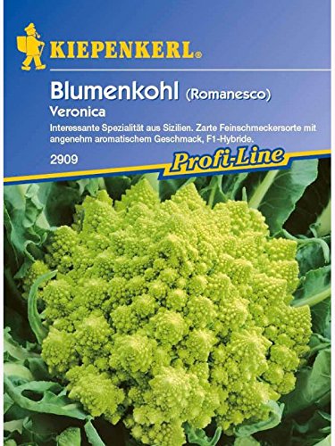 Kiepenkerl Blumenkohl Veronica F1 von Kiepenkerl