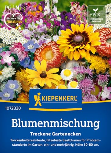 Kiepenkerl Blumensamen-Mischung Trockene Gartenecken 1072820 - Die perfekten, hitzefesten Beetblumen für problematische Standorte in Ihrem Garten. -Saatgut - blumensamen mehrjährig winterhart Kiepenkerl Blumensamen-Mischung Trockene Gartenecken 1072820 - Die perfekten, hitzefesten Beetblumen für problematische Standorte in Ihrem Garten. -Saatgut - blumensamen mehrjährig winterhart von Kiepenkerl
