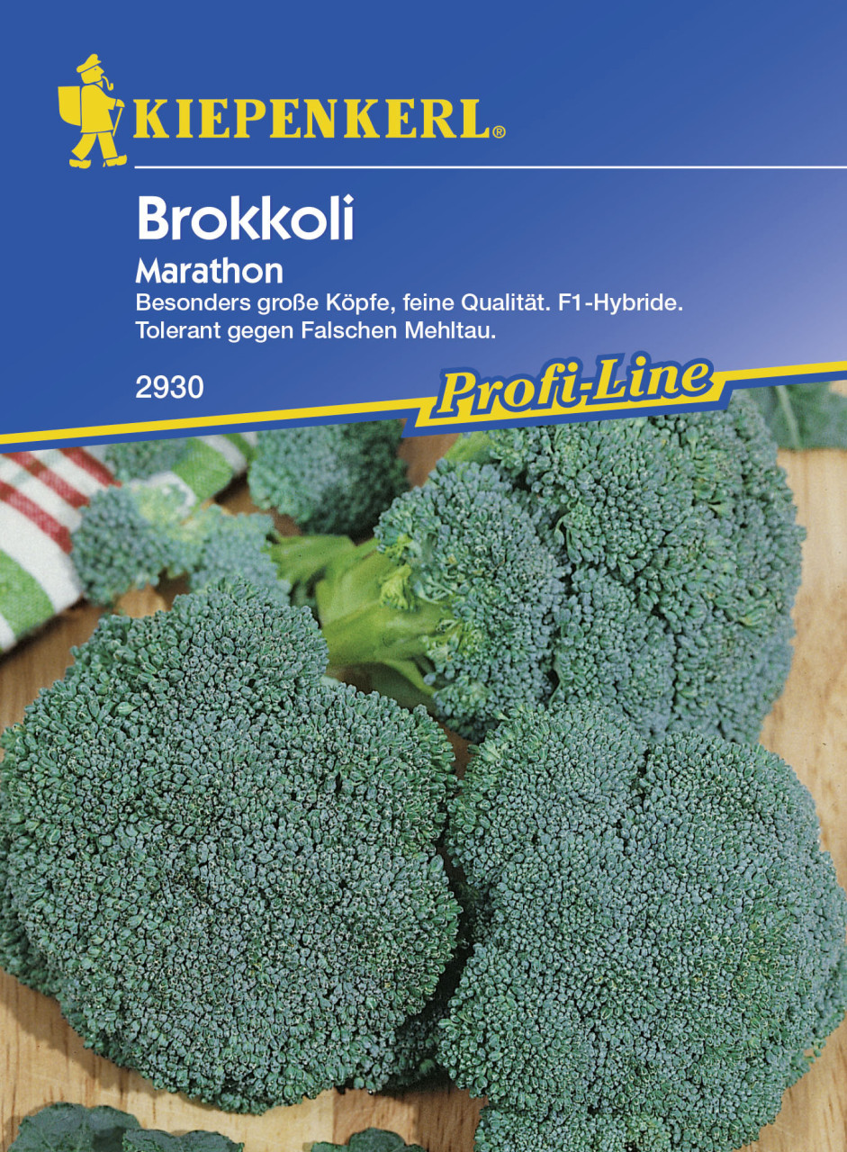 Kiepenkerl Brokkoli Marathon Brassica oleracea var. italica, Inhalt: ca. 40 Pflanzen von Kiepenkerl