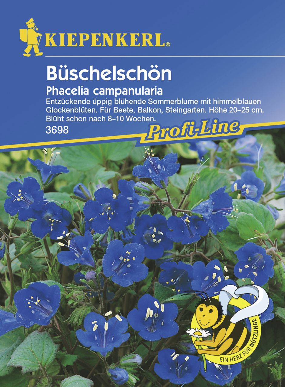 Kiepenkerl Büschelschön Inhalt reicht für ca. 50 Pflanzen von Kiepenkerl