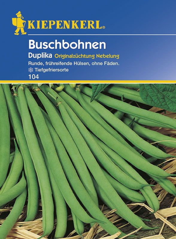 Kiepenkerl Buschbohne Duplika Phaseolus vulgaris var. nanus, Inhalt: ca. 5 lfd. Meter von Kiepenkerl
