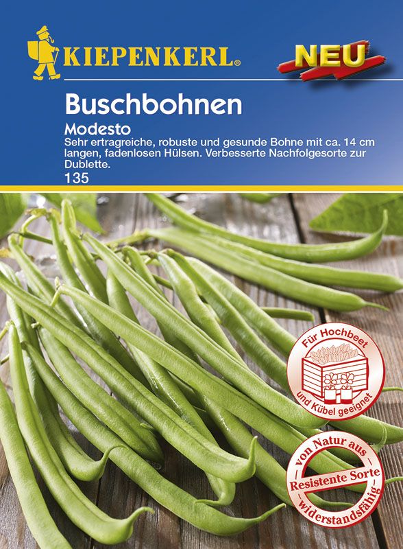 Kiepenkerl Buschbohne Modesto Phaseolus vulgaris, Inhalt: 6 Ifd. Meter von Kiepenkerl