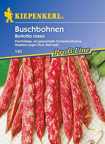 Kiepenkerl Buschbohnen Borlotto Rosso von Kiepenkerl