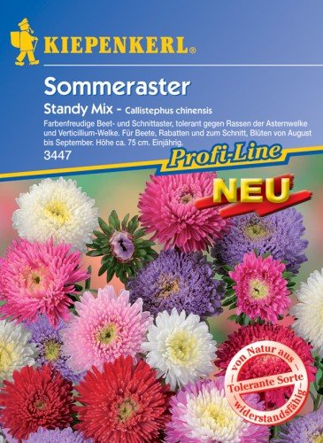 Sperli Blumensamen Sommeraster Standy Mix, grün von Sperli