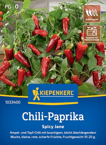Kiepenkerl Chili-Paprikasamen Spicy Jane 1033400 - buschig - leicht überhängend - Ampel- und Topf Chili - Paprika Pflanze, Gemüsesamen, Saatgut von Kiepenkerl