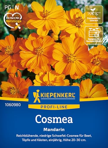 Kiepenkerl Cosmossamen Mandarin 1060980 – reichblühende, niedrige Schwefel- Cosmea für Beet und Töpfe - Pflanzensamen, Blumenmischung, Saatgut Kiepenkerl Cosmossamen Mandarin 1060980 – reichblühende, niedrige Schwefel- Cosmea für Beet und Töpfe - Pflanzensamen, Blumenmischung, Saatgut von Kiepenkerl