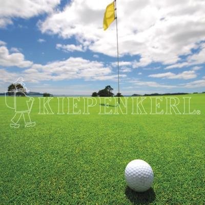 Kiepenkerl DSV RSM 4.1.1 Golfrasen Grün von Kiepenkerl