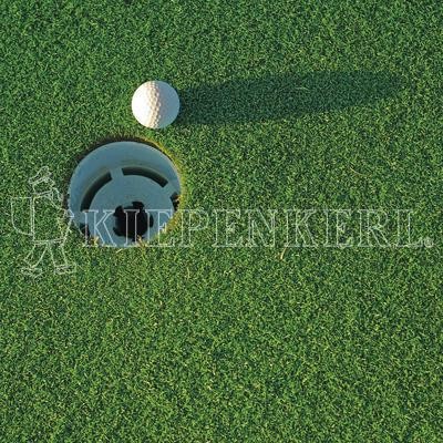 Kiepenkerl DSV RSM 4.1.3 Golfrasen Grün von Kiepenkerl