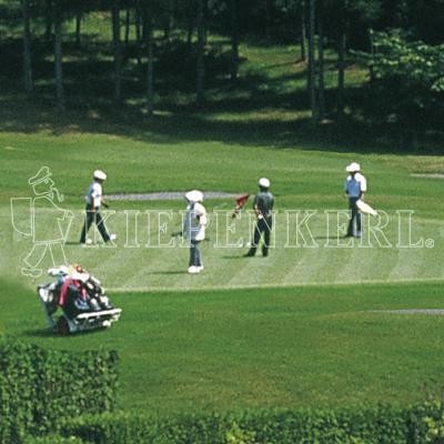Kiepenkerl DSV RSM 4.4.1 Golfrasen Spielbahn von Kiepenkerl