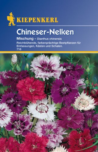 Kiepenkerl Dianthus Mischung (Chineser Nelken) von Kiepenkerl