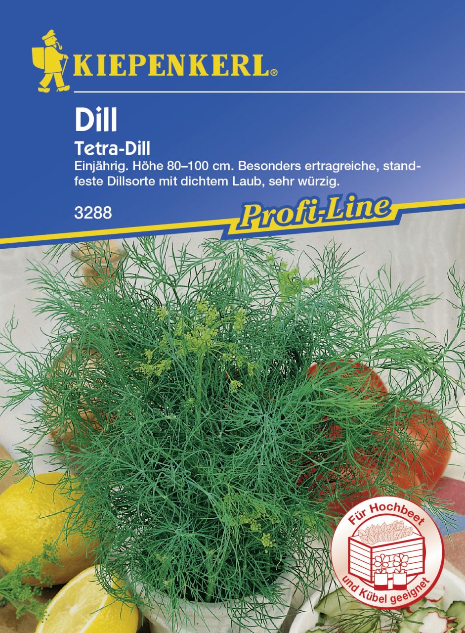 Kiepenkerl Dill Tetra ca. 200 Pflanzen von Kiepenkerl