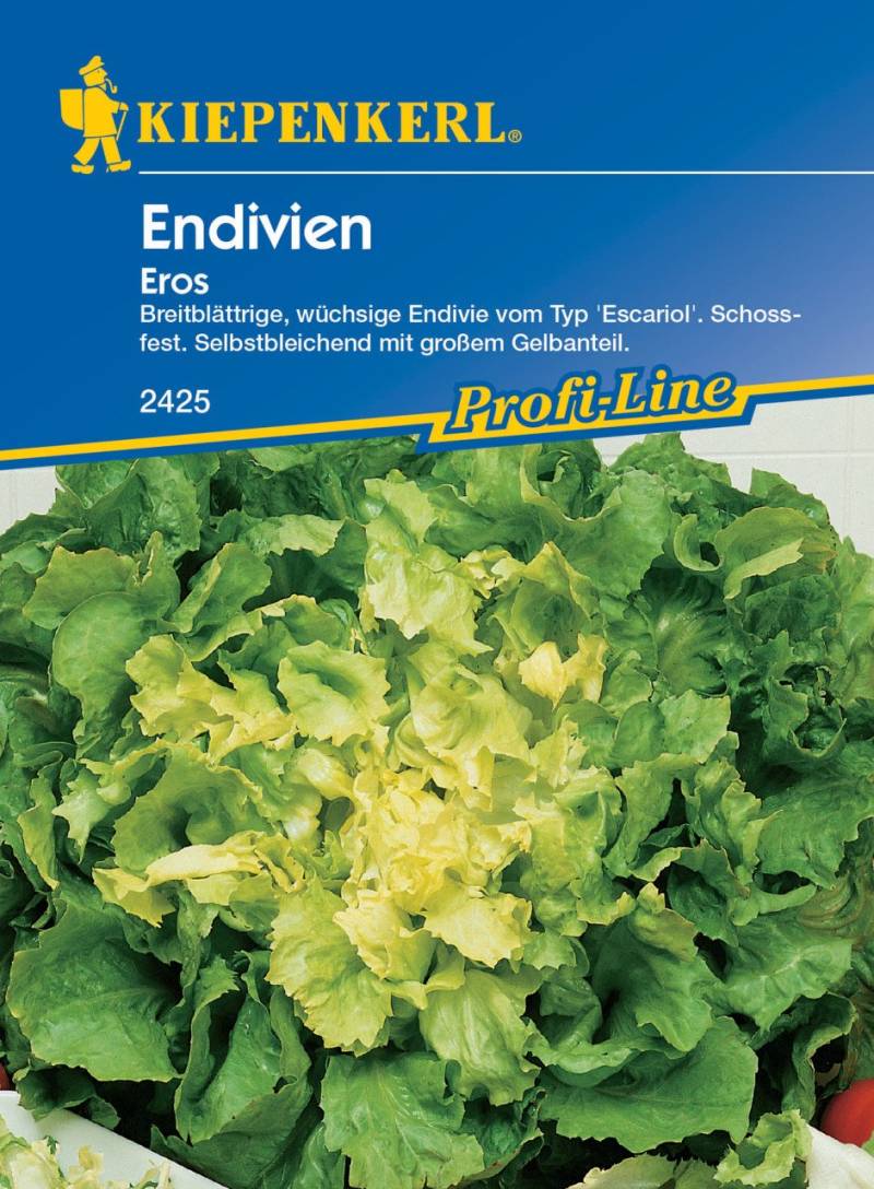 Kiepenkerl Endivie Eros Kiepenkerl Endivie Eros von Kiepenkerl