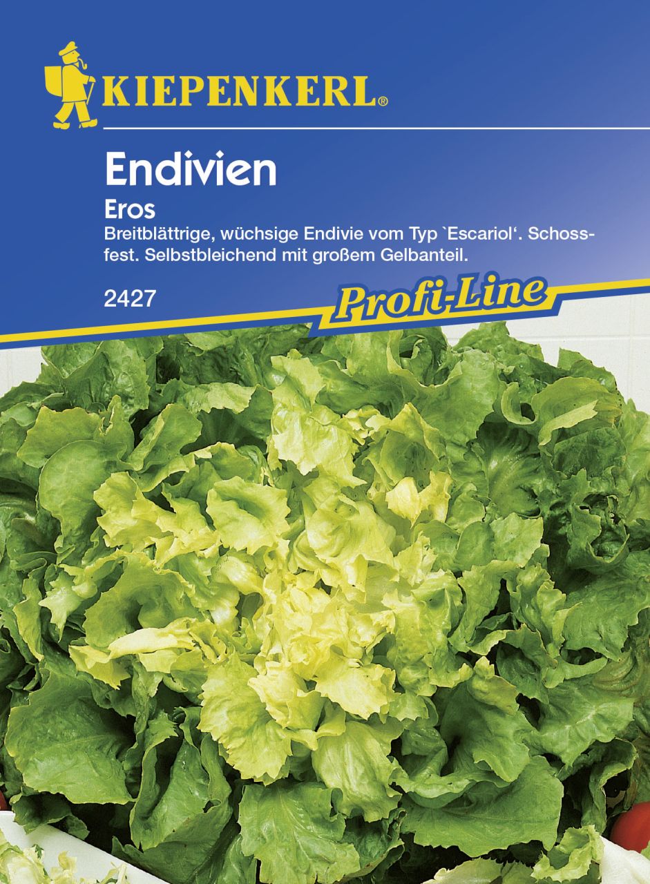 Kiepenkerl Endivien Eros Chicorium endivia, Inhalt: ca. 150 Pflanzen von Kiepenkerl
