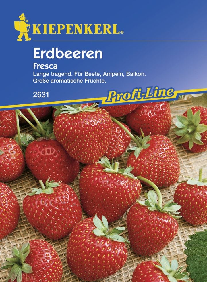 Kiepenkerl Erdbeere Fresca Fragaria ananassa, Inhalt: ca. 30 Pflanzen von Kiepenkerl