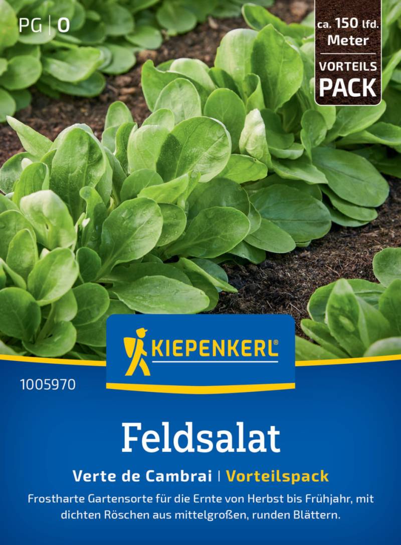 Kiepenkerl Feldsalatsamen Verte de Cambrai, Vorteilspackung von Kiepenkerl