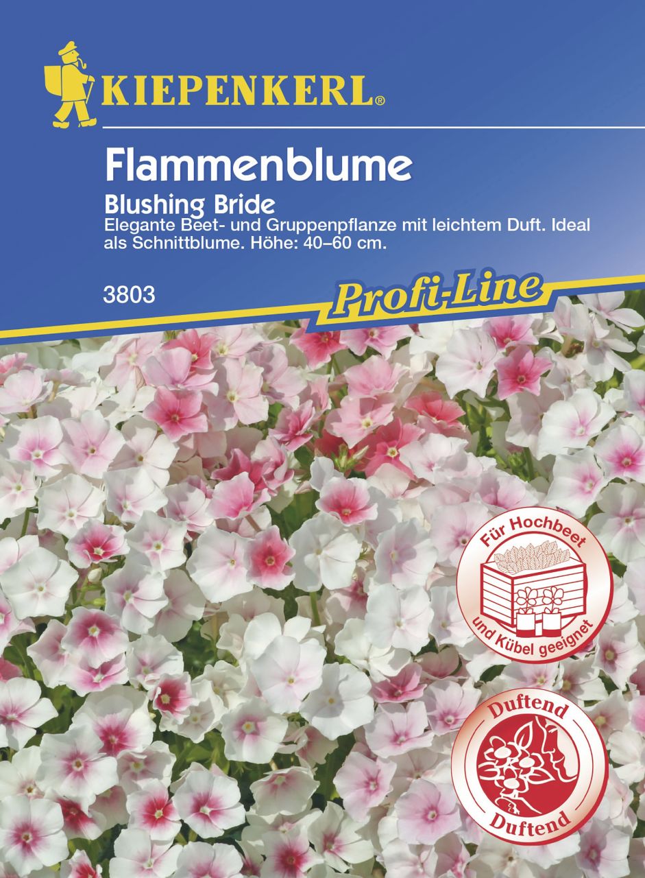 Kiepenkerl Flammenblume Blushing Bride Inhalt reicht für ca. 50 Pflanzen von Kiepenkerl