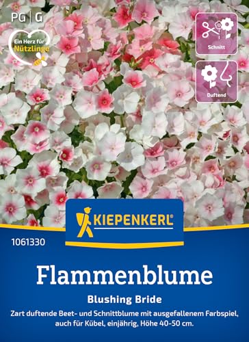 Kiepenkerl Flammenblumensamen Blushing Bride 1061330 – duftende Beet- und Schnittblume mit ausgefallenem Farbspiel - Pflanzensamen, Blumenmischung, Saatgut Kiepenkerl Flammenblumensamen Blushing Bride 1061330 – duftende Beet- und Schnittblume mit ausgefallenem Farbspiel - Pflanzensamen, Blumenmischung, Saatgut von Kiepenkerl