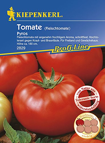 Kiepenkerl Fleisch-Tomate 'Pyros', F1 | Freiland und Gewächshaus | süßer Geschmack | 1 Packung Samen von Kiepenkerl