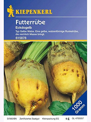 Kiepenkerl Futtersaat Futterrübe Eckdogelb 1kg - 615878 von Kiepenkerl