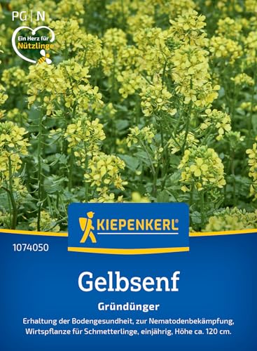Kiepenkerl Gelbsenfsamen Weißsamiger Senf 1074050 – Erhaltung der Bodengesundheit und zur Nematodenbekämpfung - circa 120cm hoch - Wildblumensamen, Blumenwiese Kiepenkerl Gelbsenfsamen Weißsamiger Senf 1074050 – Erhaltung der Bodengesundheit und zur Nematodenbekämpfung - circa 120cm hoch - Wildblumensamen, Blumenwiese von Kiepenkerl