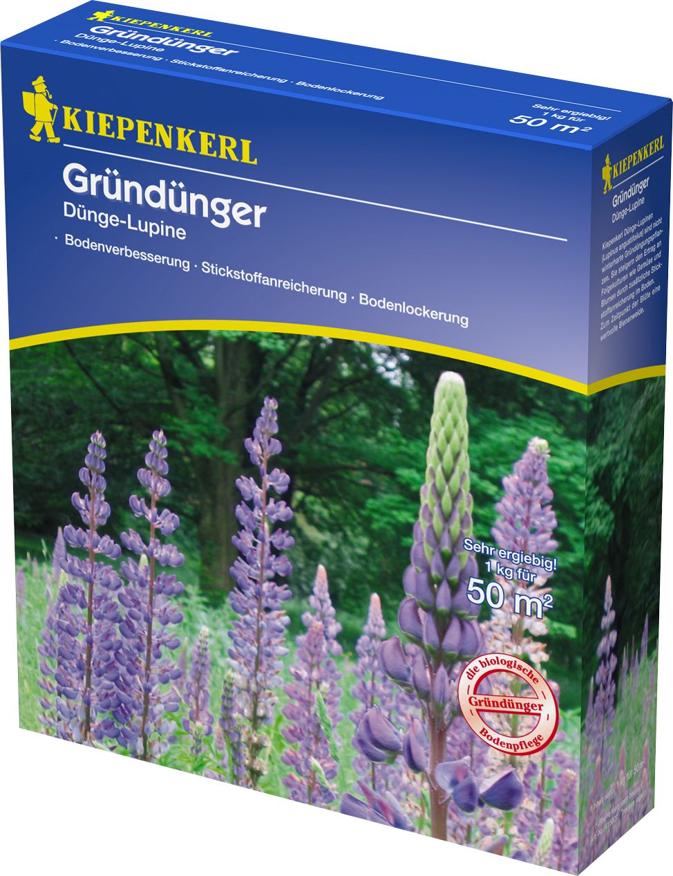 Kiepenkerl Gründünger Düngelupinen Lupinus angustifolius, Inhalt: 1 kg von Kiepenkerl