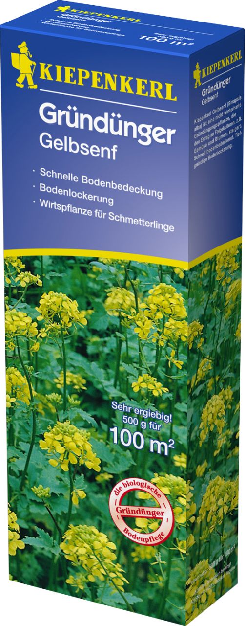 Kiepenkerl Gründünger Gelbsenf Sinapis alba, Inhalt: 500 g Kiepenkerl Gründünger Gelbsenf Sinapis alba, Inhalt: 500 g von Kiepenkerl