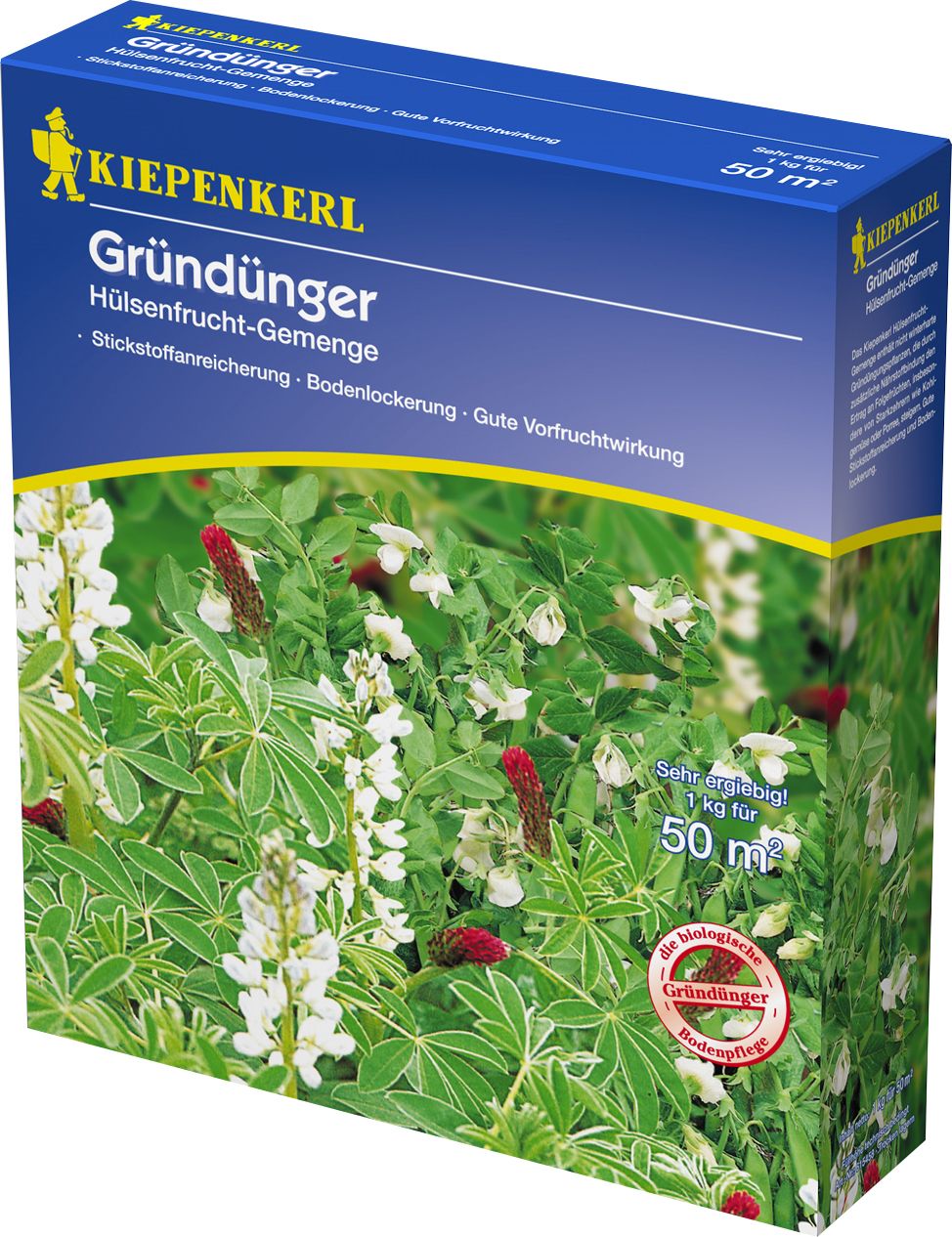 Kiepenkerl Gründünger Hülsenfrucht- ca. 50 qm von Kiepenkerl