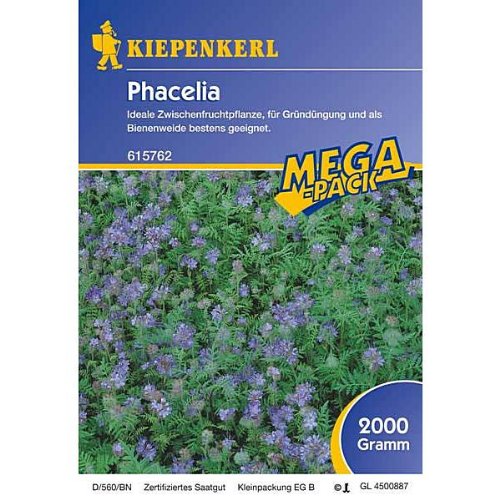 Kiepenkerl Gründünger Phacelia 2kg - 615762 von Kiepenkerl