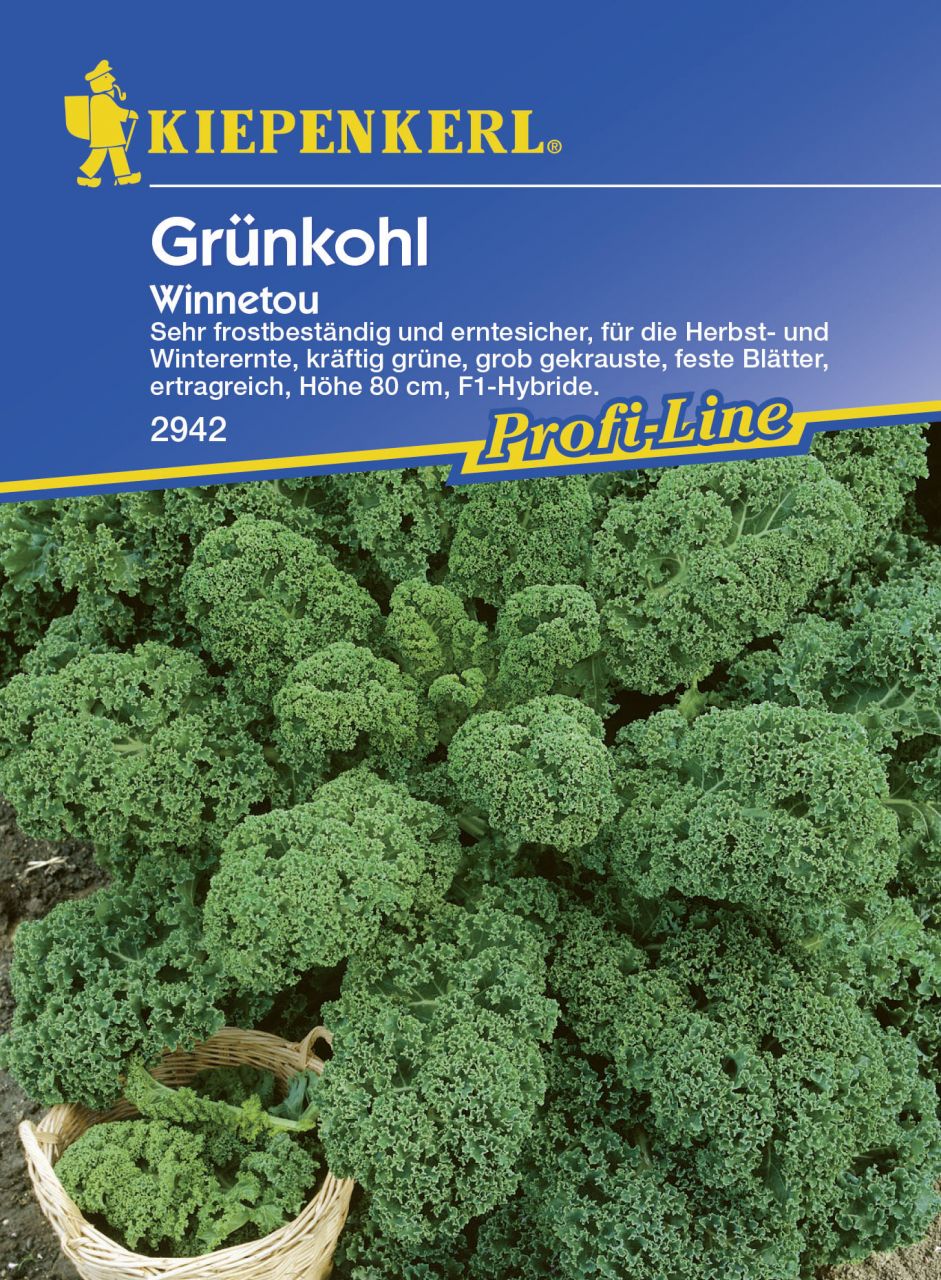 Kiepenkerl Grünkohl Winnetou Brassica oleracea var. sabellica, Inhalt: ca. 30 Pflanzen von Kiepenkerl