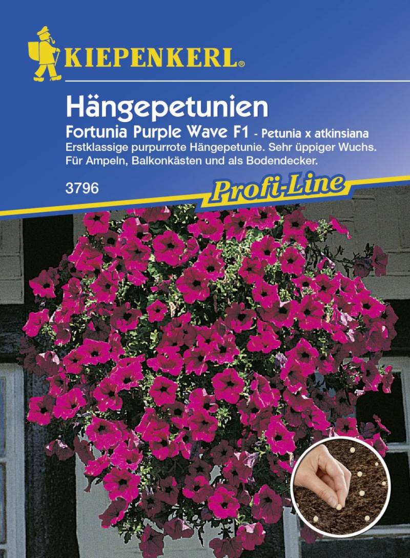 Kiepenkerl Hängepetunie Fortunia Purple Wave Petunia x atkinsiana, Inhalt: 9 Pillen von Kiepenkerl