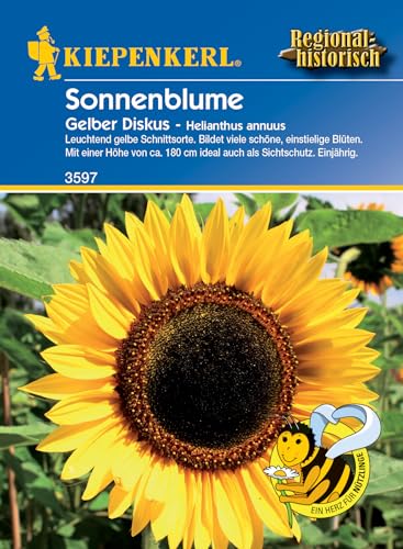 Kiepenkerl 3597 Sonnenblume Gelber Diskus, beliebte Schnittblume und Hintergrundpflanze als Sichtschutz an Zäunen und vor Mauern von Kiepenkerl