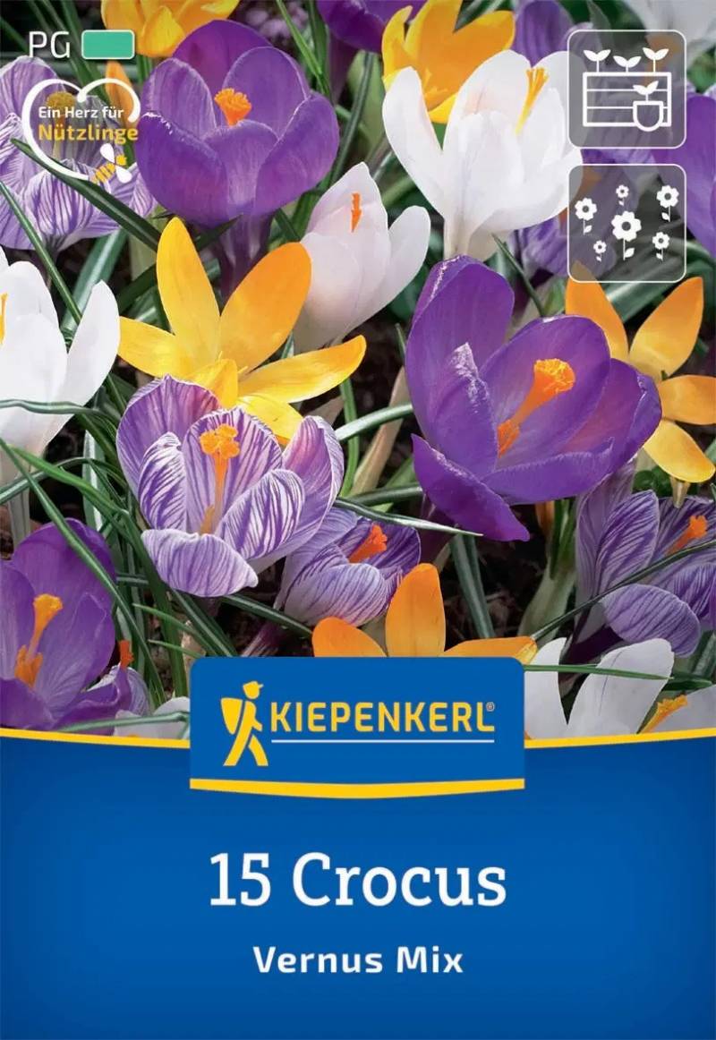 Kiepenkerl Herbstblumenzwiebel Großblumiger Krokus Mischung 15 Stück von Kiepenkerl