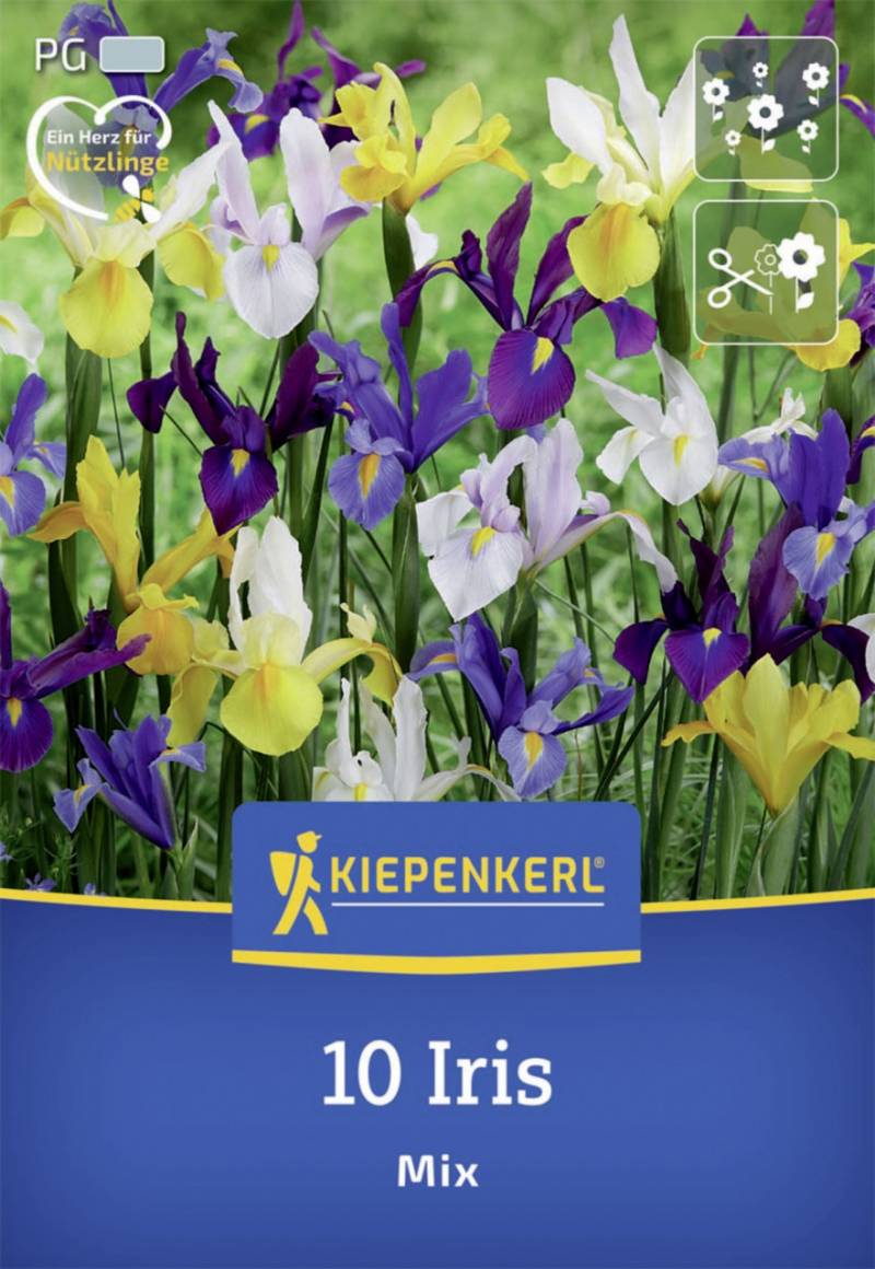 Kiepenkerl Herbstblumenzwiebel Holländische Schwertlilien Mischung 10 Stück von Kiepenkerl