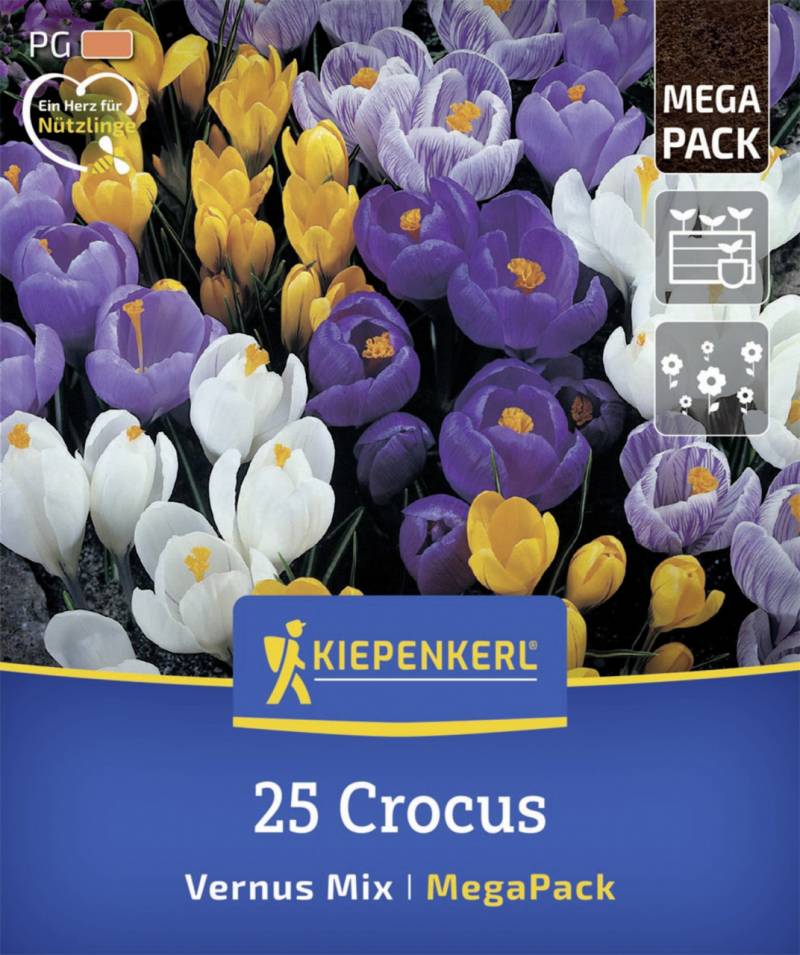Kiepenkerl Herbstblumenzwiebel Mega-Pack Gartenkrokuse 25 Stück von Kiepenkerl