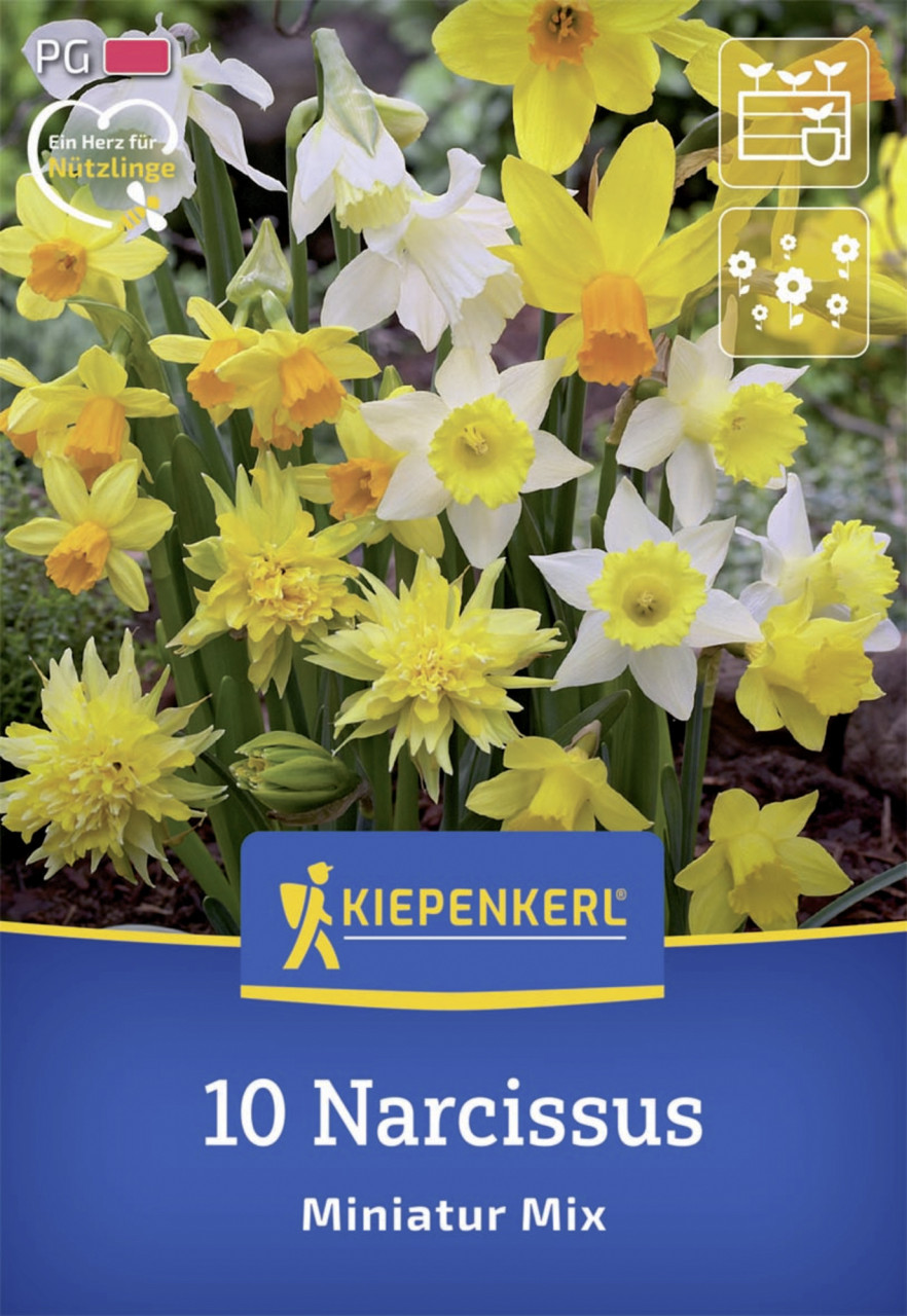 Kiepenkerl Herbstblumenzwiebel Miniatur-Narzissen Mischung 10 Stück Kiepenkerl Herbstblumenzwiebel Miniatur-Narzissen Mischung 10 Stück von Kiepenkerl