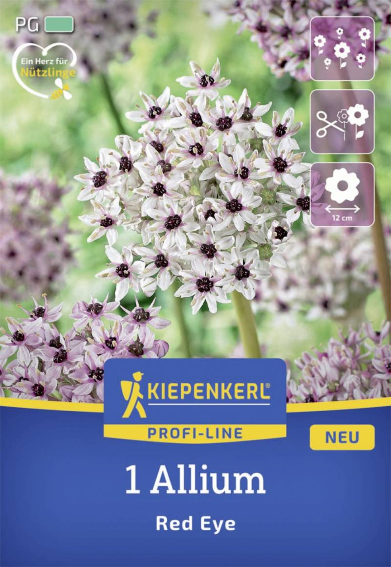 Kiepenkerl Herbstblumenzwiebel Profi-Line Zierlauch Red Eye 1 Stück von Kiepenkerl