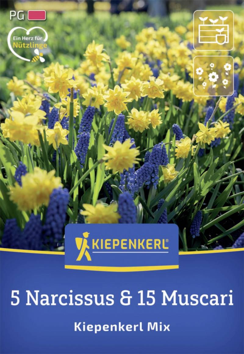 Kiepenkerl Herbstblumenzwiebelmischung Kiepenkerl Mix 20 Stück von Kiepenkerl