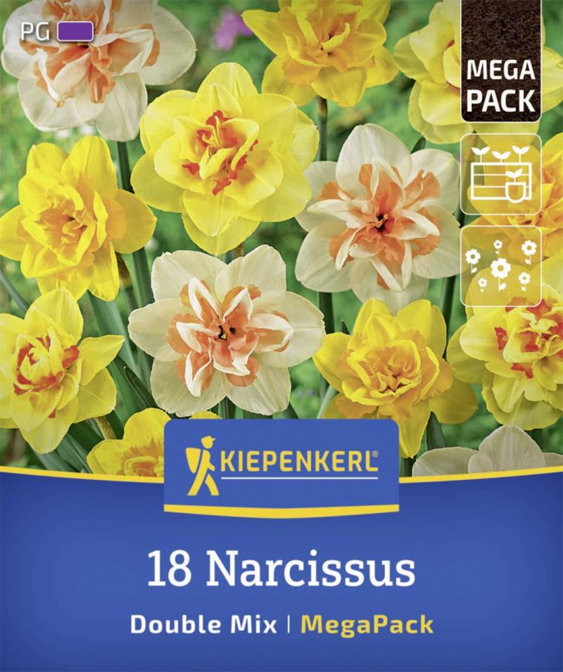 Kiepenkerl Herbstblumenzwiebelmischung Mega-Pack Gefüllte Narzissen 18 Stück von Kiepenkerl