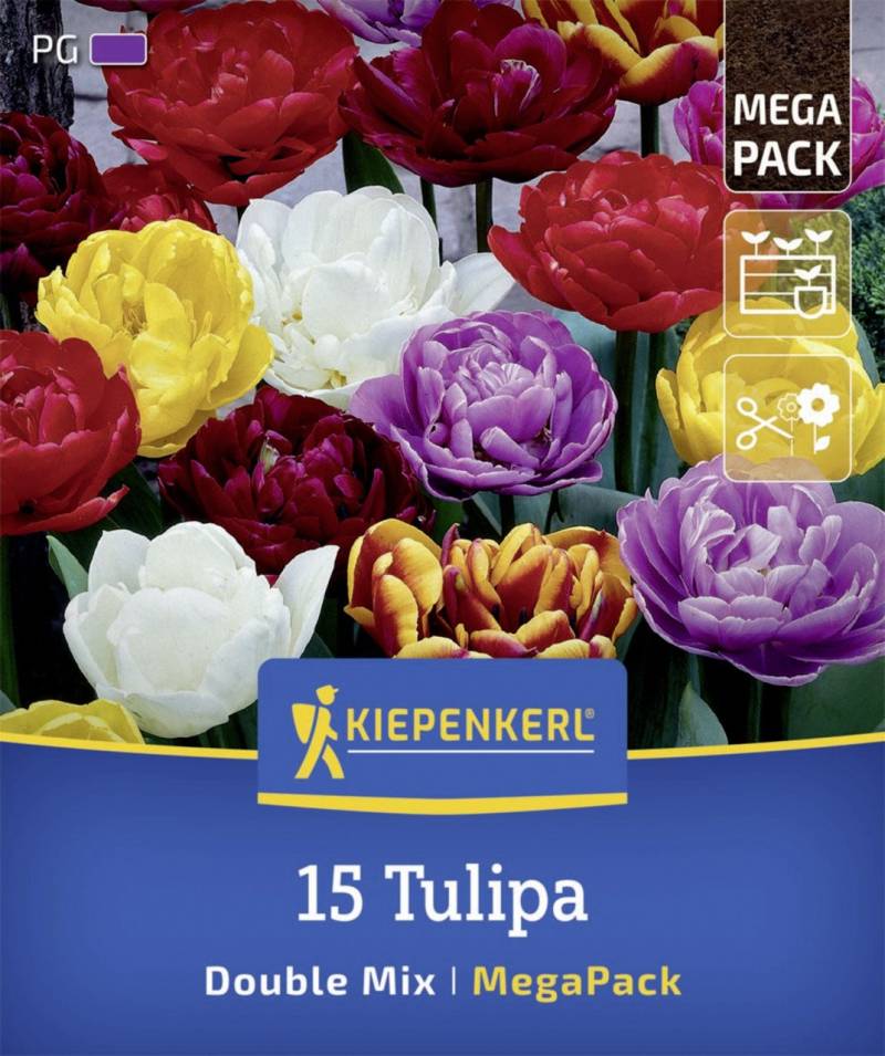 Kiepenkerl Herbstblumenzwiebelmischung Mega-Pack Gefüllte Tulpen 15 Stück Kiepenkerl Herbstblumenzwiebelmischung Mega-Pack Gefüllte Tulpen 15 Stück von Kiepenkerl