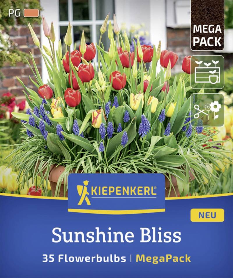 Kiepenkerl Herbstblumenzwiebelmischung Mega-Pack Sunshine Bliss 35 Stück von Kiepenkerl