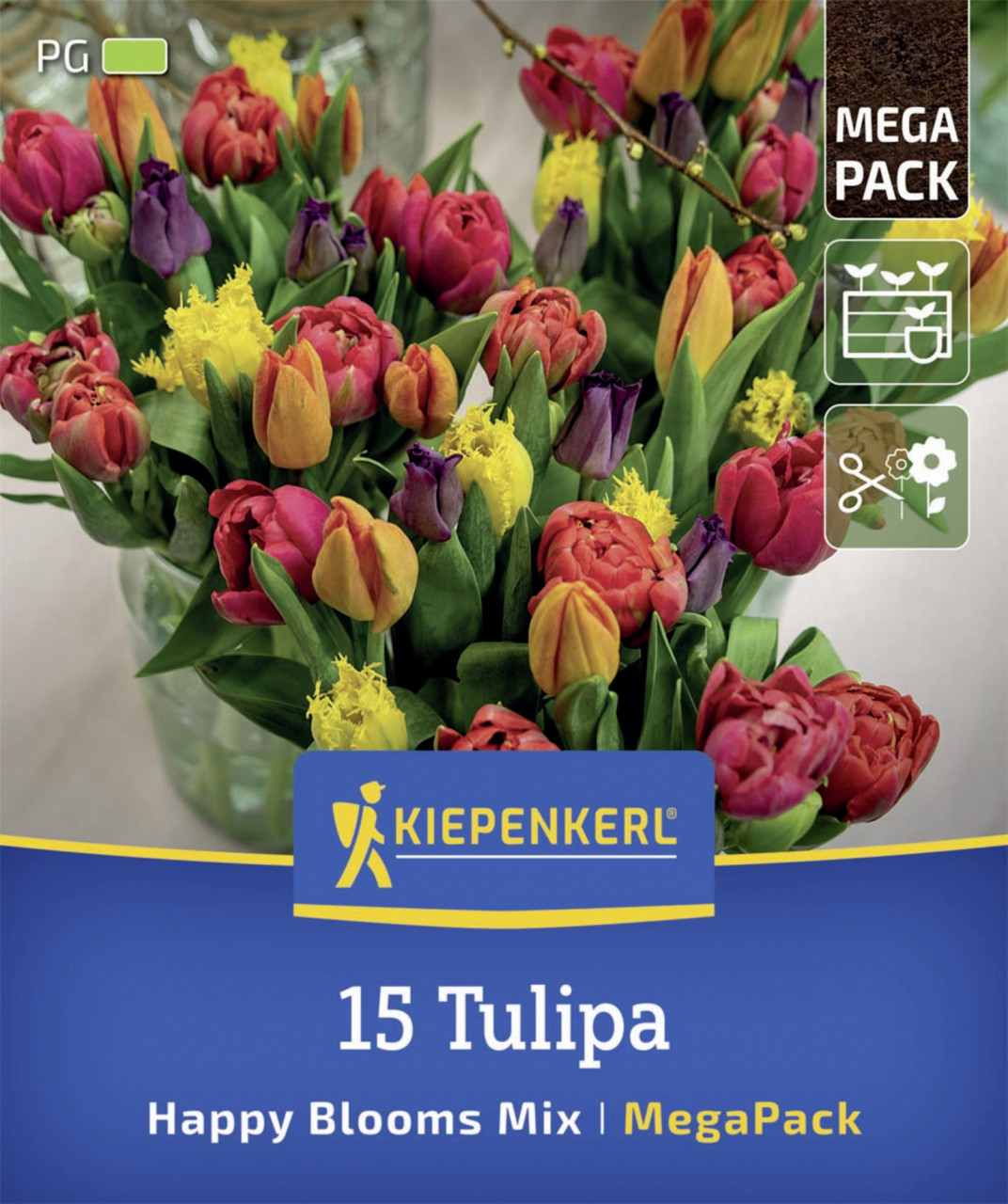 Kiepenkerl Herbstblumenzwiebelmischung Mega-Pack Tulpen Happy Bloom Mix 15 Stück Kiepenkerl Herbstblumenzwiebelmischung Mega-Pack Tulpen Happy Bloom Mix 15 Stück von Kiepenkerl